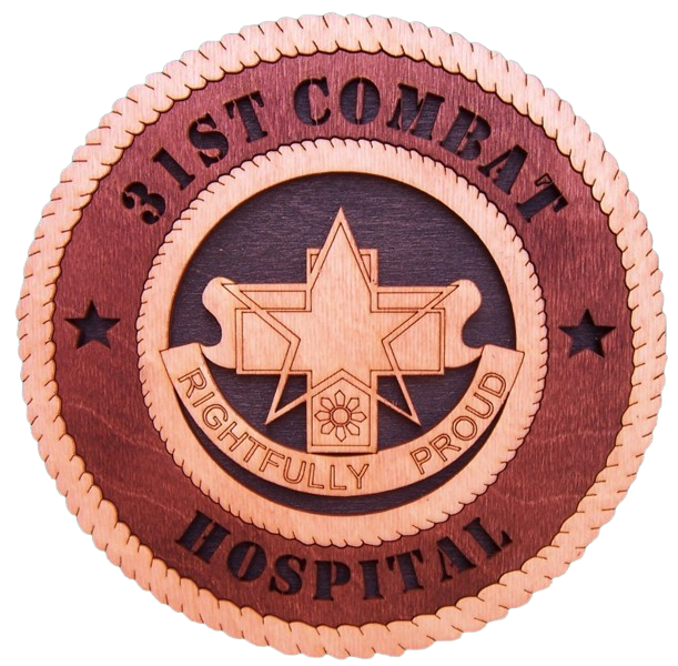 31st Combat Hospital